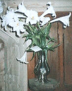 a vase designed by Pugin,full of white lillies placed by his effigy, on the anniversary of his death